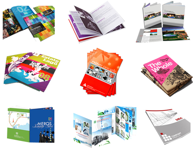 vai trò Catalogue